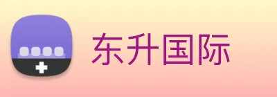 东升国际 Logo